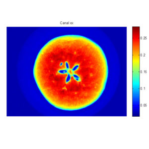 Analyse d'images hyperspectrales