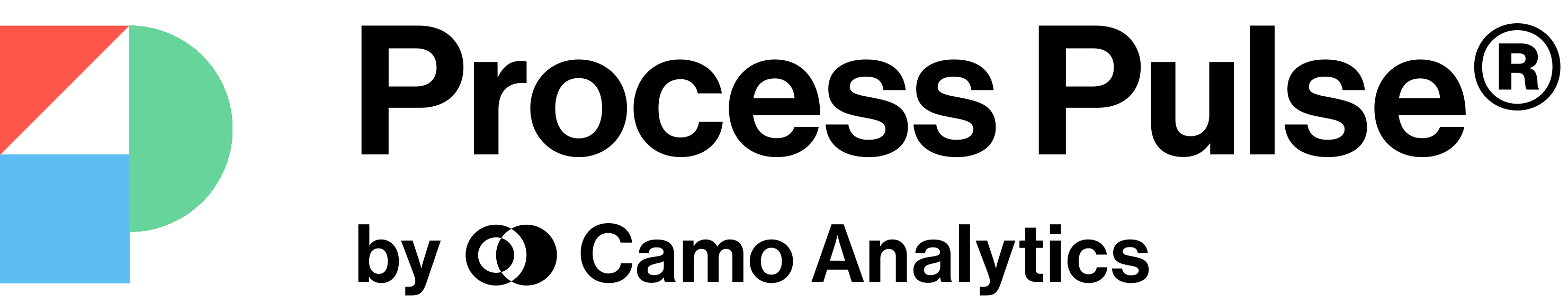 Process Pulse by Camo Analytics