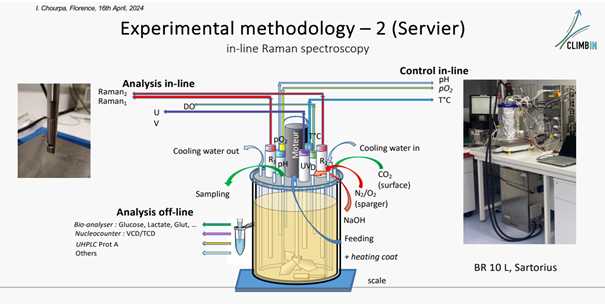 mesures en spectroscopie Raman en ligne dans les bioréacteurs du site Bio-S de Servier